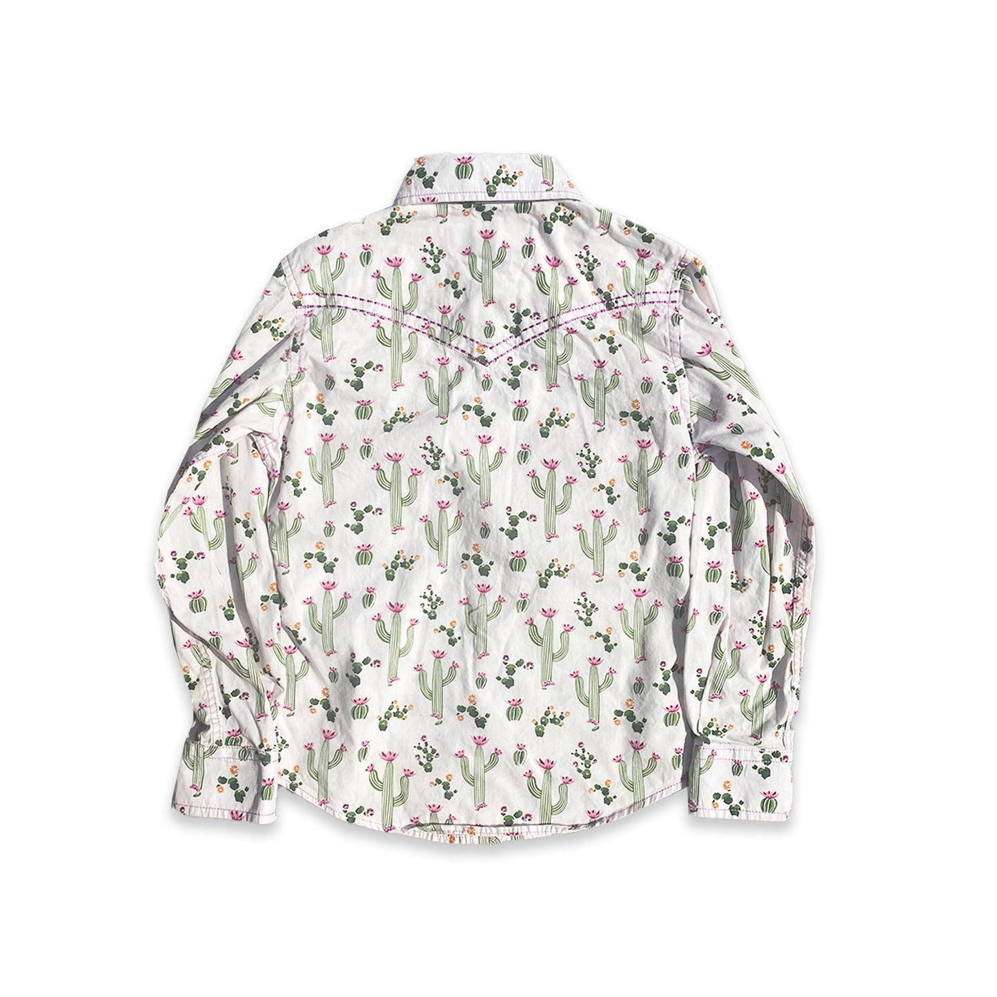Cactus Western Shirt