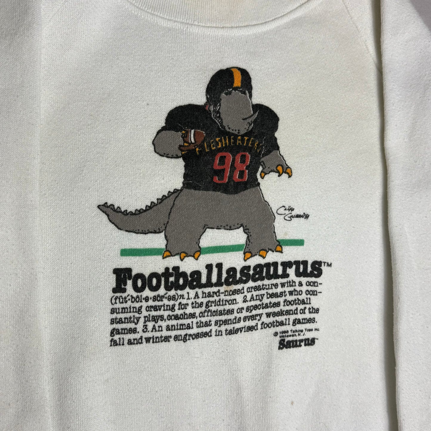 Footballasaurus Printed Jumper 5-6 Years
