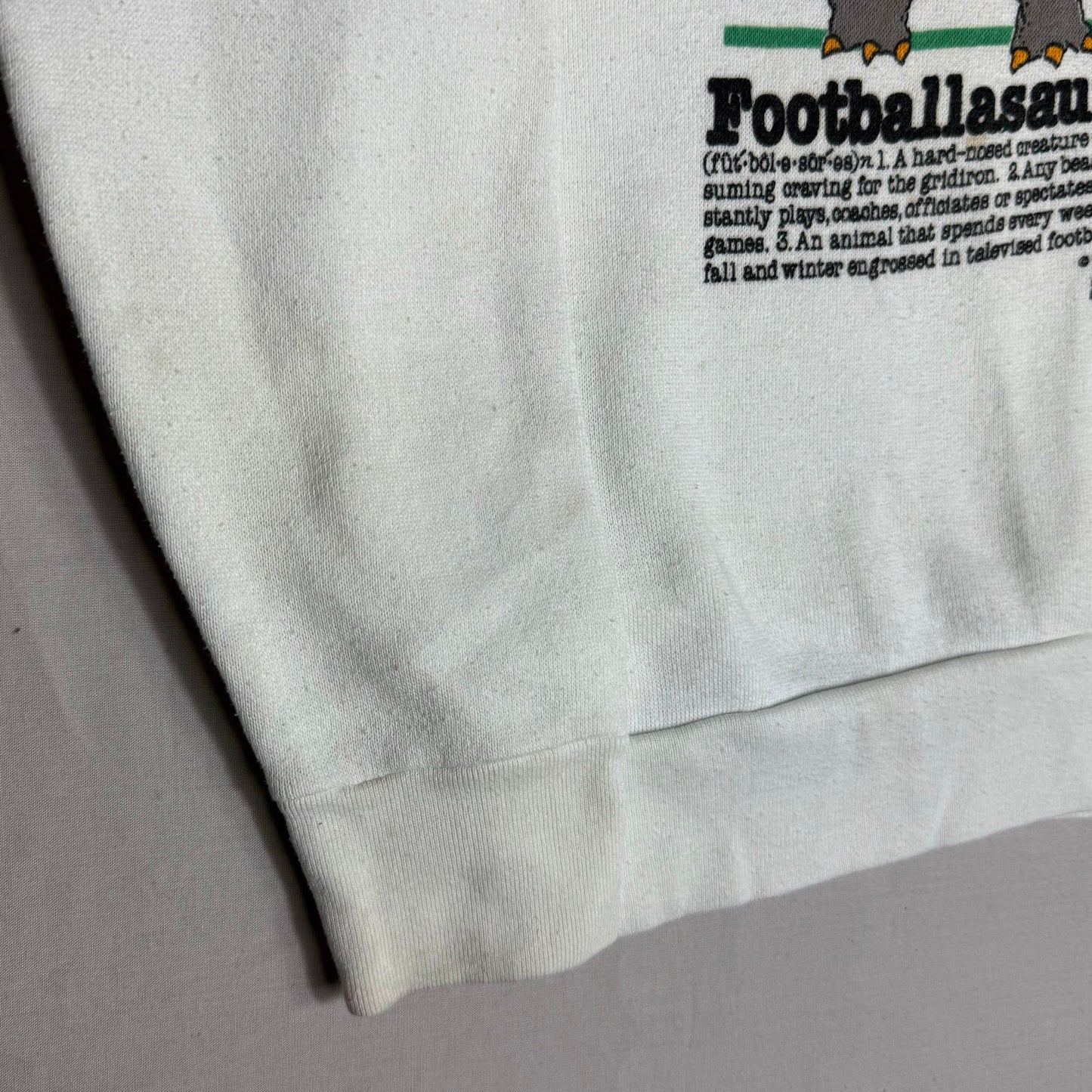 Footballasaurus Printed Jumper 5-6 Years