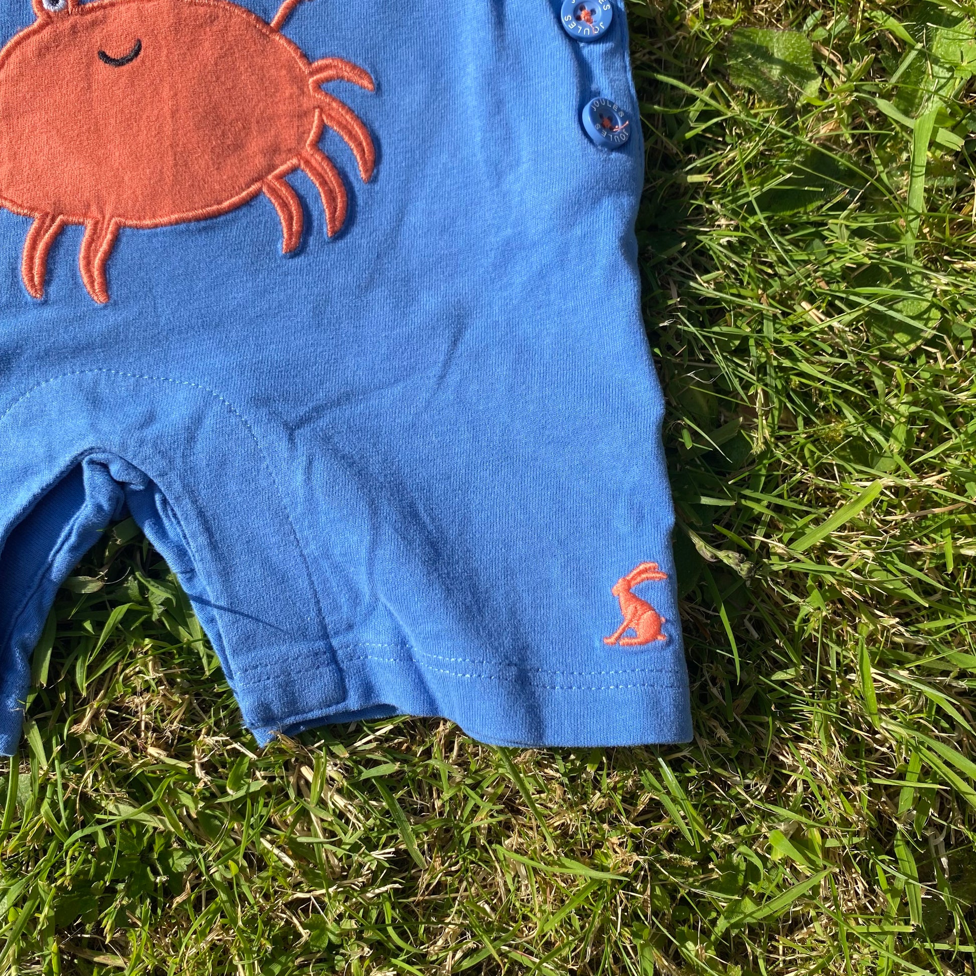 Crab Embroidered Dungarees