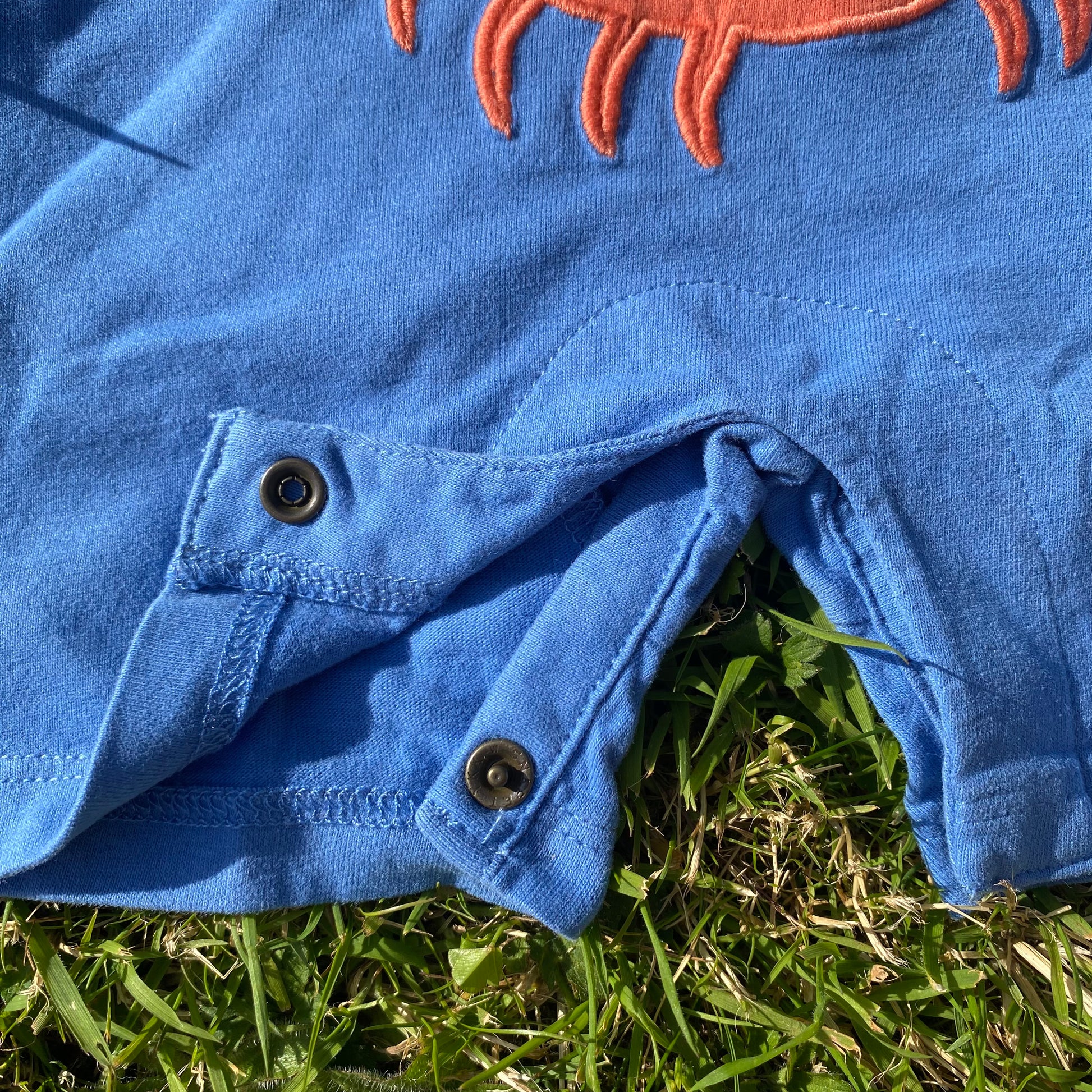 Crab Embroidered Dungarees