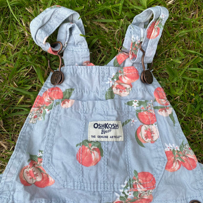 Oshkosh B'Gosh Peach Printed Romper Dungarees Cotton Dungarees Oshkosh_B'Gosh_Peach_Printed_Romper_Dungarees_112 - Secondly