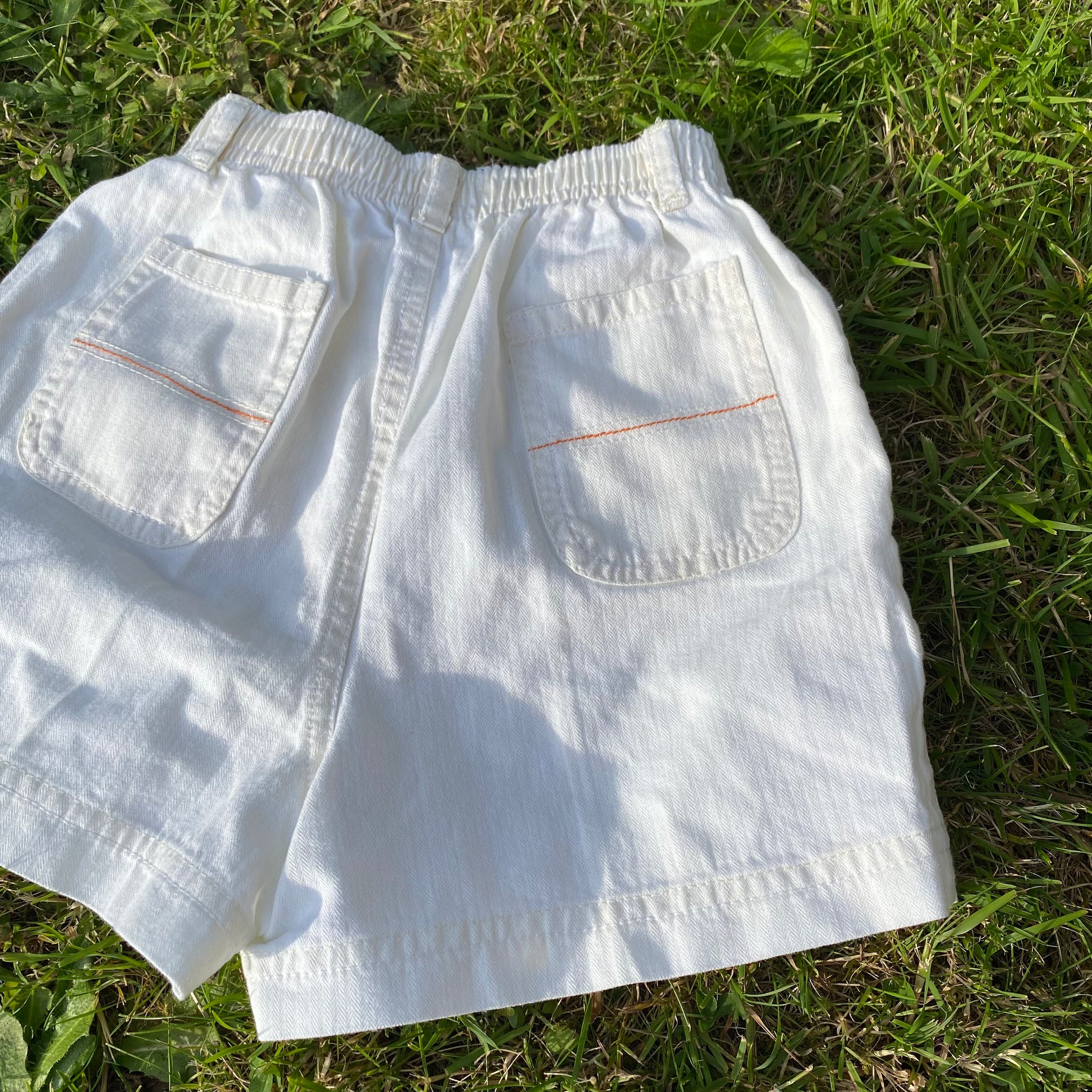 Lion Embroidered Cotton Shorts